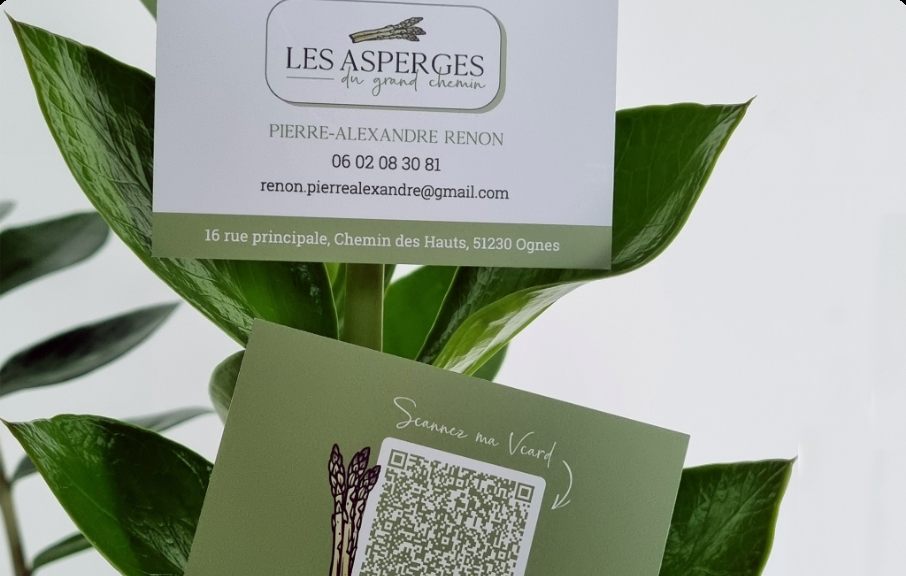 création et impression de cartes de visite pour un producteur local LES ASPERGES DU GRAND CHEMIN