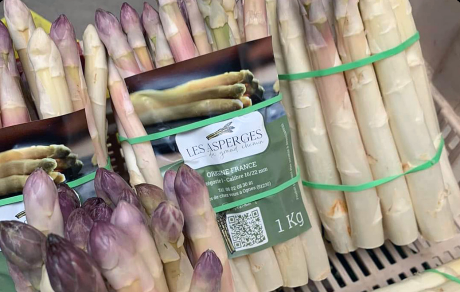 Création et impression de cartes de visite pour un producteur local LES ASPERGES DU GRAND CHEMIN dans les ardennes